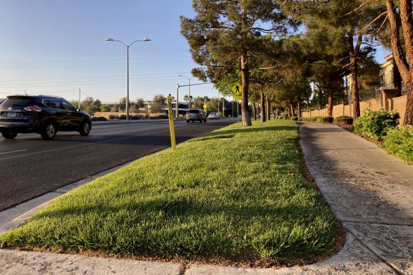 美国西部城市在干旱期间移除装饰性的草