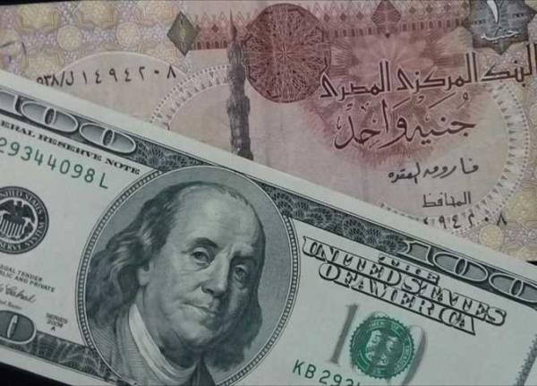 周五埃及的美元汇率